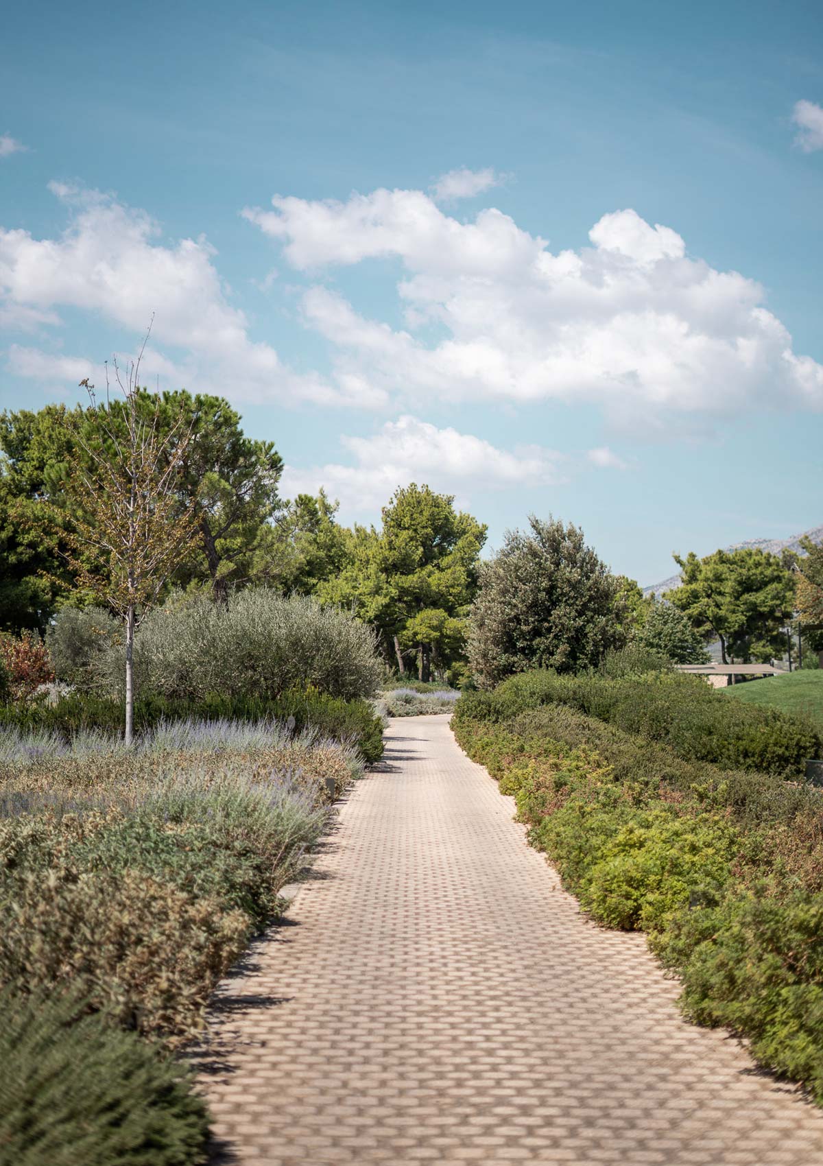 Landscaped garden path through the grounds of TATOÏ Club
